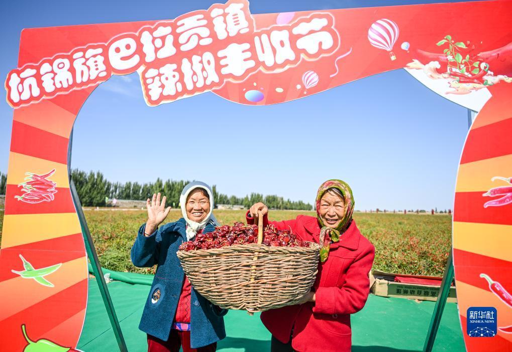 趣赢娱乐